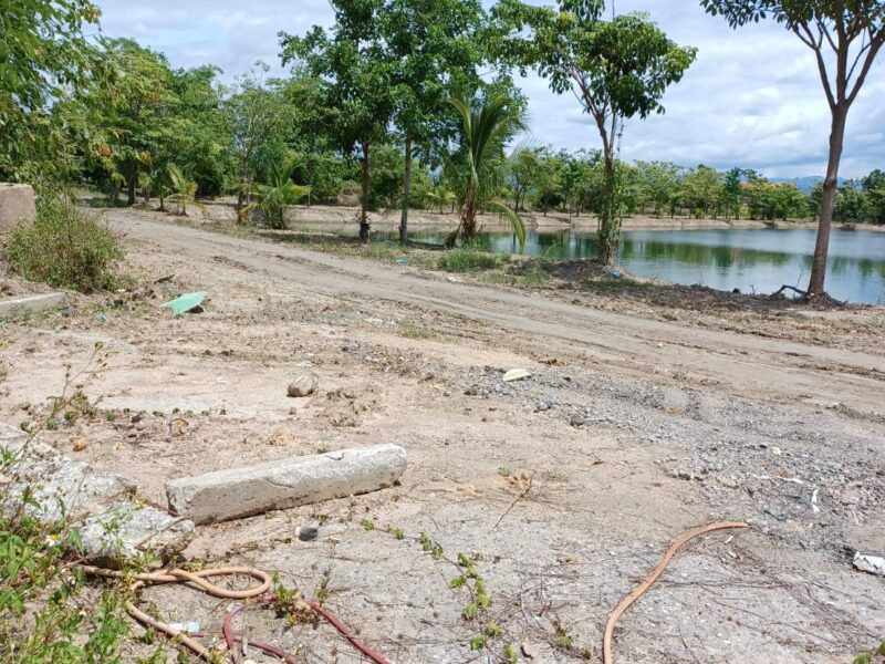 ขายที่ดิน 28 ไร่ 30ล้าน สันป่าตอง(เชียงใหม่)
