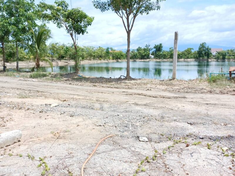 ขายที่ดิน 28 ไร่ 30ล้าน สันป่าตอง(เชียงใหม่)