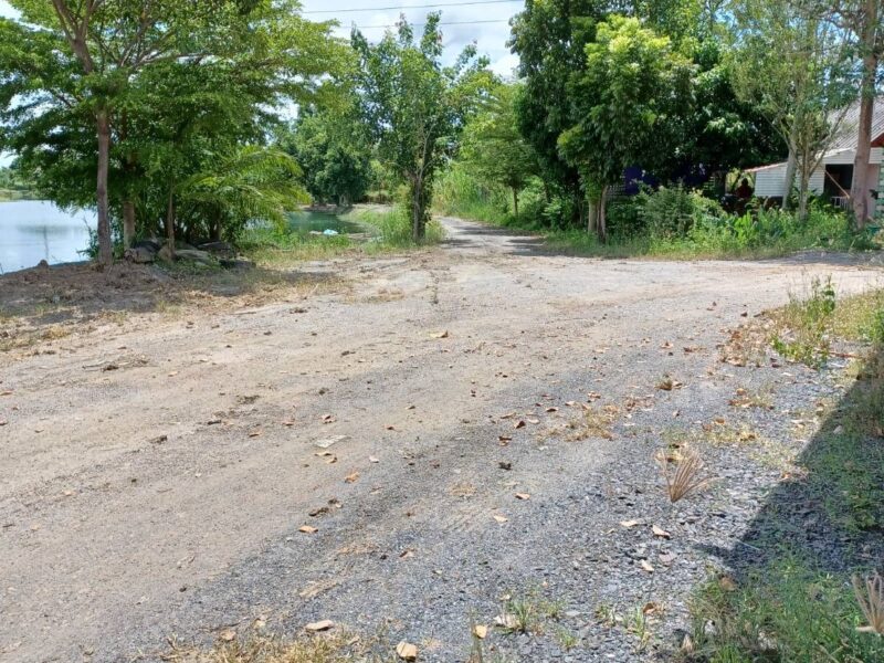 ขายที่ดิน 28 ไร่ 30ล้าน สันป่าตอง(เชียงใหม่)
