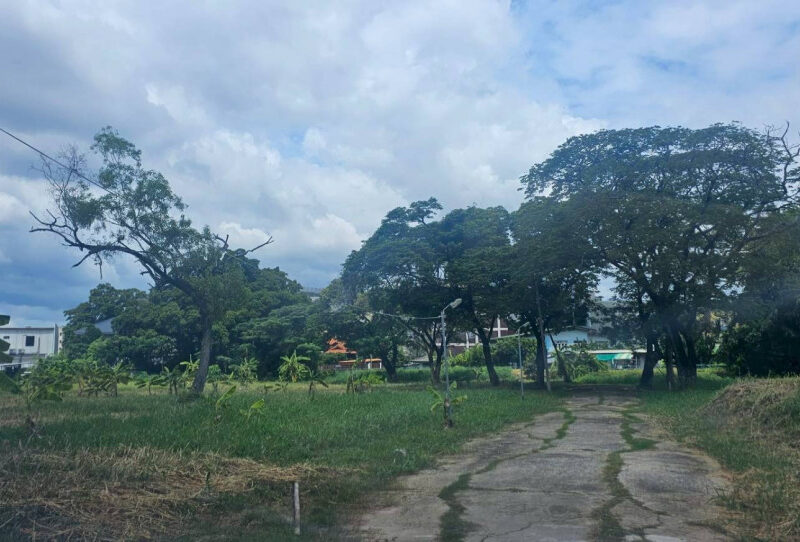 ขายที่ดิน เนื้อที่ 245 ตร.ว. พัฒนาการ 58 หมู่บ้านเอื้อสุข ซอย 25 ใกล้ธัญญาพาร์ค