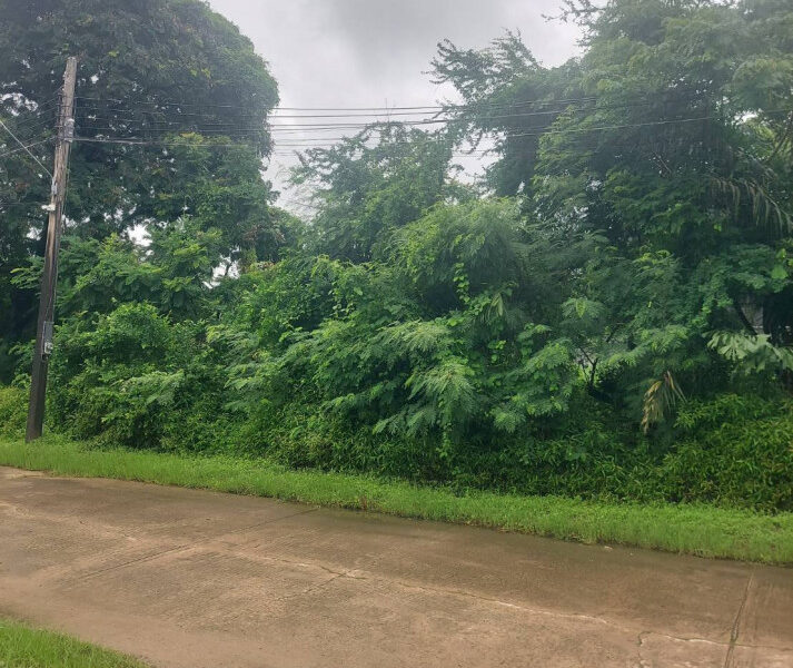 ขายที่ดิน 200 ตร.ว. หมู่บ้านเอื้อสุข พัฒนาการ 58 ซอย 6 ใกล้ถนนศรีนครินทร์