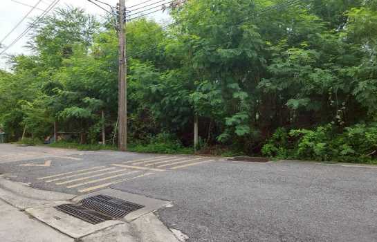 ขายที่ดิน 184 ตร.ว. ซ.คู้บอน 13 ตรงข้ามทิพย์ทอง อพาร์ทเมนท์ ใกล้ถนนคู้บอน