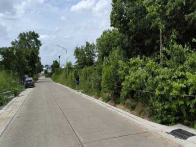 ขาย ที่ดิน ปทุมธานี-สายใน ถนน 307 เนื้อที่ 19 ไร่ 2 งาน 83.6 ตรว