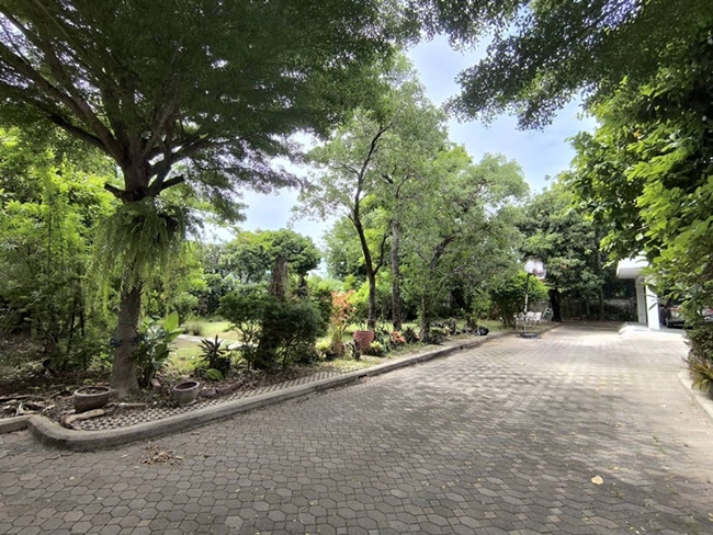 ขายด่วนบ้านพร้อมที่ดินผืนใหญ่ใจกลางเมืองปากน้ำ ใกล้ BTS เพียง 290 เมตร