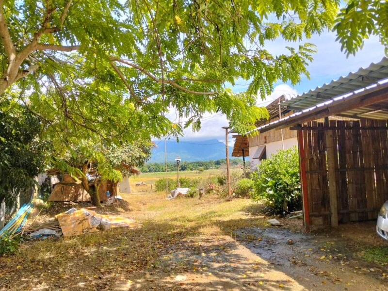 ขายที่ดินวิวดอยหลวงเชียงดาว – ทำเลทอง อ.เชียงดาว จ.เชียงใหม่