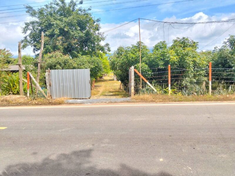 ขายที่ดินวิวดอยหลวงเชียงดาว – ทำเลทอง อ.เชียงดาว จ.เชียงใหม่