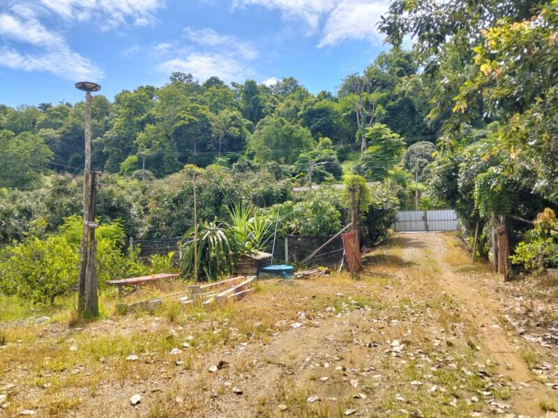 ขายที่ดินวิวดอยหลวงเชียงดาว – ทำเลทอง อ.เชียงดาว จ.เชียงใหม่