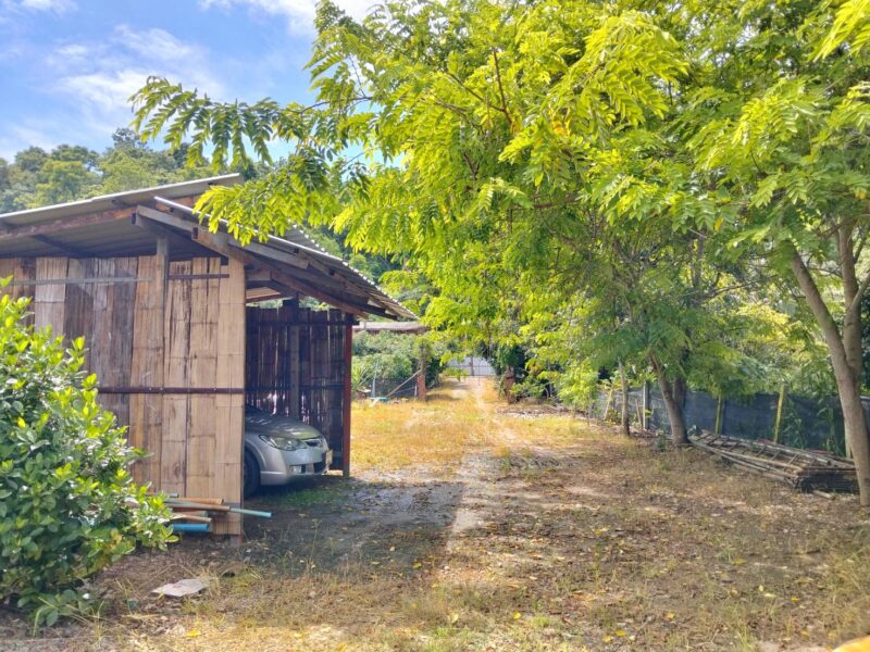 ขายที่ดินวิวดอยหลวงเชียงดาว – ทำเลทอง อ.เชียงดาว จ.เชียงใหม่