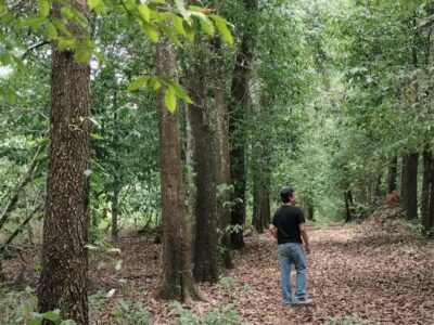 ที่ดินบ่อไร่ ตราด 103 ไร่