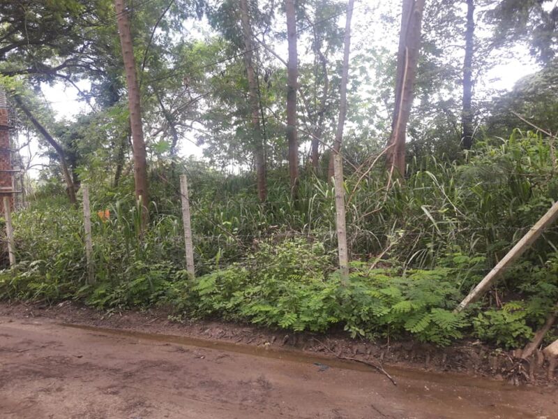 ขายที่ดิน 61 ตรว ในคูเมืองเชียงใหม่ 13 ล้าน