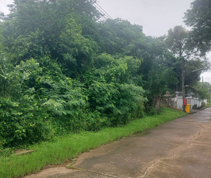 ขายที่ดิน 200 ตร.ว. หมู่บ้านเอื้อสุข พัฒนาการ 58 ซอย 6 ใกล้ถนนศรีนครินทร์