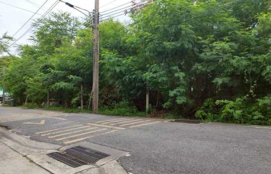 ขายที่ดิน 184 ตร.ว. ซ.คู้บอน 13 ตรงข้ามทิพย์ทอง อพาร์ทเมนท์ ใกล้ถนนคู้บอน