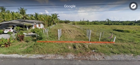 ขาย ที่ดิน สวนปาล์ม เมืองนครศรีธรรมราช 50 ไร่ ปลูกเต็มพื้นที่ ซื้อปุ๊บรับรายได้หลักแสนต่อเดือนทันที เหมาะทำโครงการจัดสรร