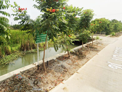 ขายที่ดินติดคลอง นครชัยศรี – ราคาพิเศษ