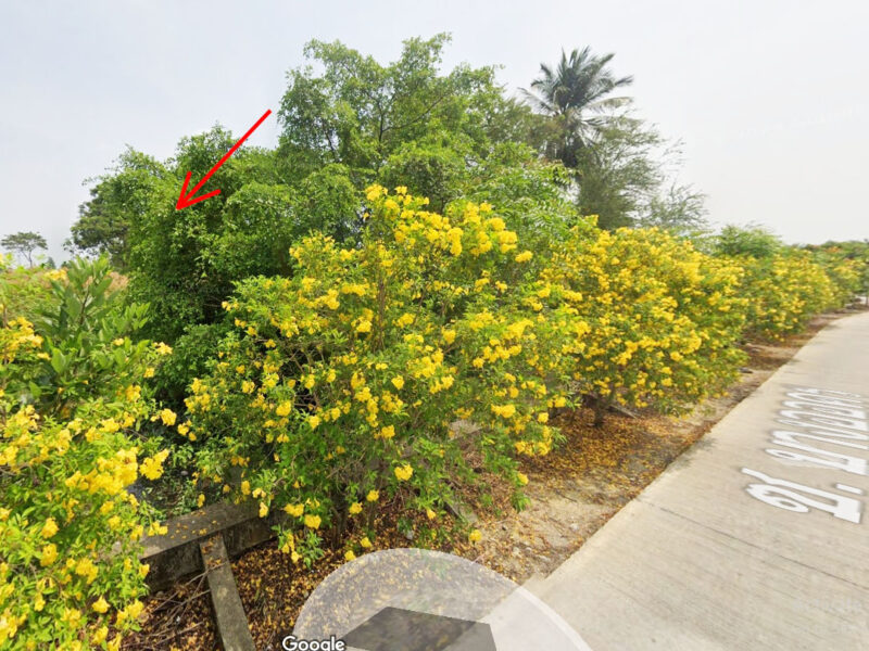 ขายที่ดินติดคลอง นครชัยศรี – ราคาพิเศษ