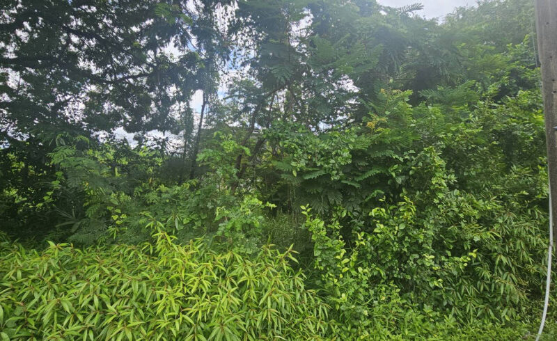 ขายที่ดิน 200 ตร.ว. หมู่บ้านเอื้อสุข พัฒนาการ 58 ซอย 6 ใกล้ถนนศรีนครินทร์