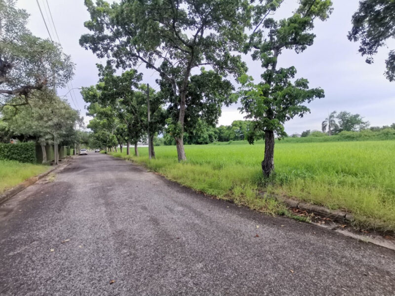 ขาย ที่ดิน ในสนามกอล์ฟ เลควูด Lakewood ซอย 16 ขนาด 1 ไร่ แปลงสวยสี่เหลี่ยม อยู่ในโครงการหรูมีระดับ เป็นส่วนตัว เหมาะสร้างบ้าน