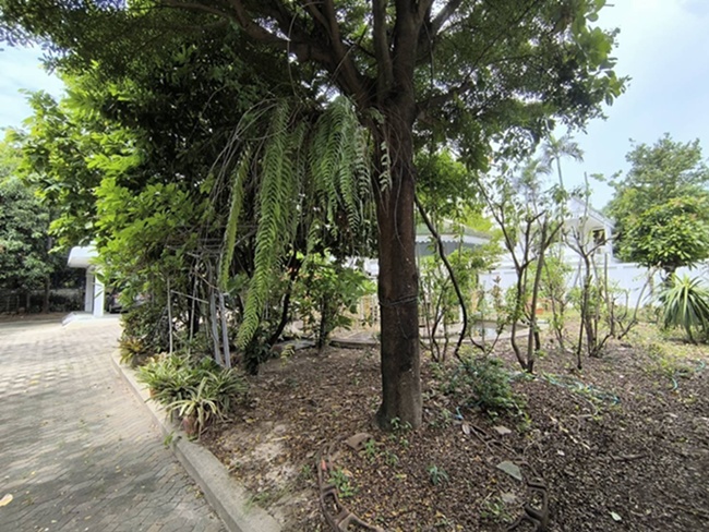 ขายด่วนบ้านพร้อมที่ดินผืนใหญ่ใจกลางเมืองปากน้ำ ใกล้ BTS เพียง 290 เมตร