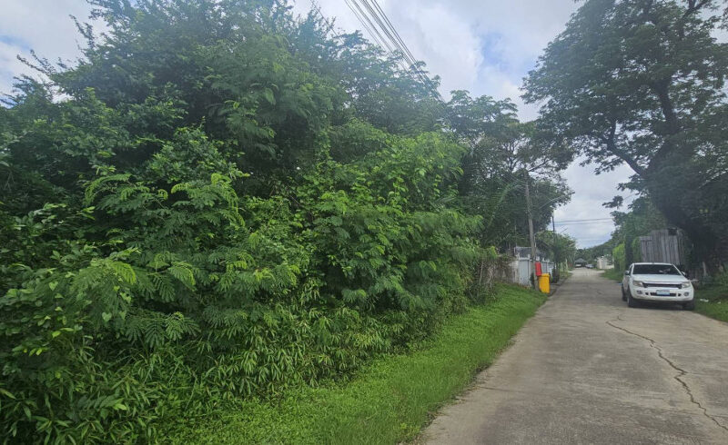 ขายที่ดิน 200 ตร.ว. หมู่บ้านเอื้อสุข พัฒนาการ 58 ซอย 6 ใกล้ถนนศรีนครินทร์
