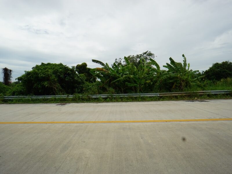 ขาย ที่ดิน EECติดมอเตอร์เวย์ เมืองชลบุรี หนองข้างคอก 13 ไร่ 1 งาน 78 ตร.วา เข้าออกมอเตอร์เวย์ได้หลายทาง เหมาะทำโรงงาน โกดังสินค้า