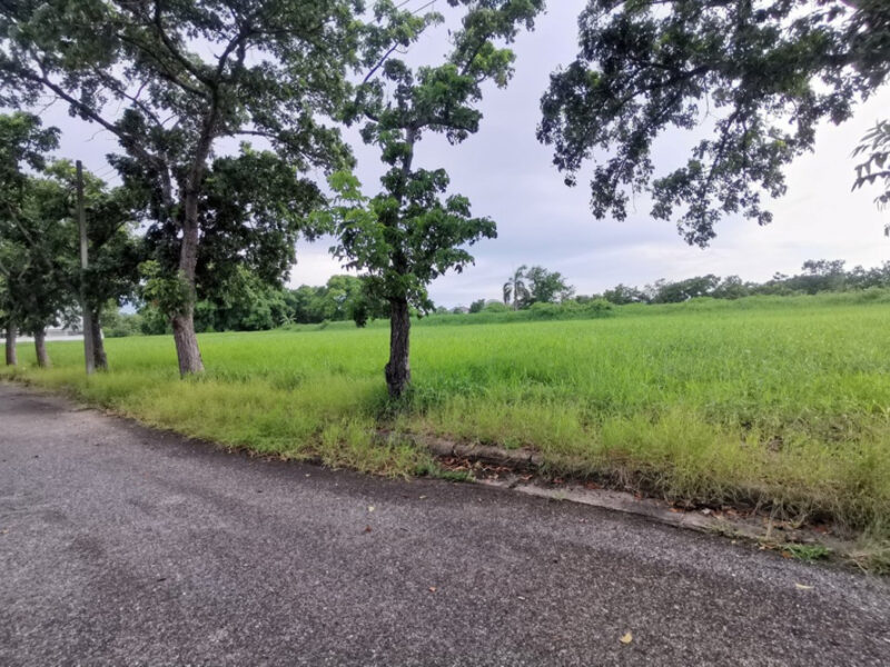 ขาย ที่ดิน ในสนามกอล์ฟ เลควูด Lakewood ซอย 16 ขนาด 1 ไร่ แปลงสวยสี่เหลี่ยม อยู่ในโครงการหรูมีระดับ เป็นส่วนตัว เหมาะสร้างบ้าน