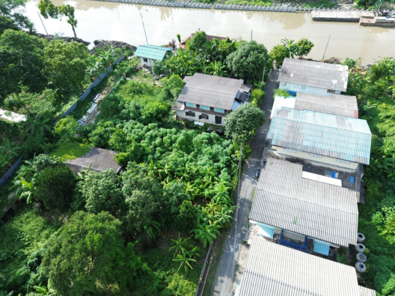 ขายที่ดินมีนบุรี 100ตรว. ซอยราษฎร์อุทิศ25-6 ใกล้ถนนใหญ่แค่100ม. รูปสี่เหลี่ยมสวย ปากซอยตรงข้ามMR.DIY เหมาะสร้างบ้านเดี่ยว บรรยากาศสงบส่วนตัว