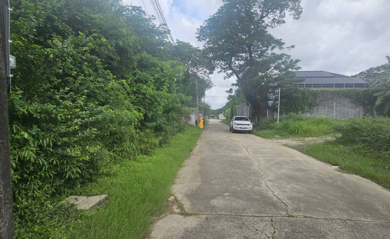 ขายที่ดิน 200 ตร.ว. หมู่บ้านเอื้อสุข พัฒนาการ 58 ซอย 6 ใกล้ถนนศรีนครินทร์