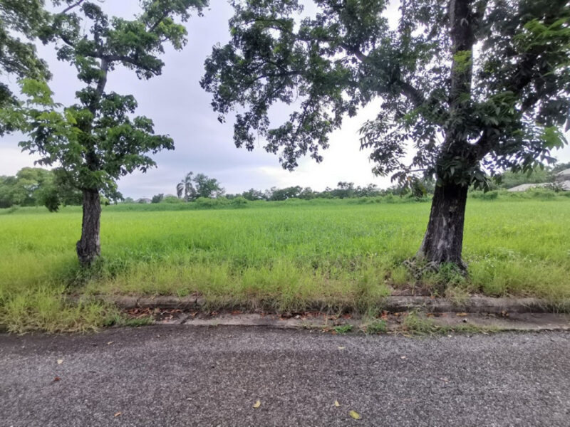 ขาย ที่ดิน ในสนามกอล์ฟ เลควูด Lakewood ซอย 16 ขนาด 1 ไร่ แปลงสวยสี่เหลี่ยม อยู่ในโครงการหรูมีระดับ เป็นส่วนตัว เหมาะสร้างบ้าน
