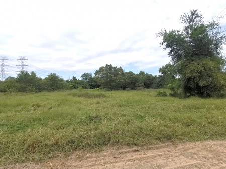 ขาย ที่ดิน ซอยแบนชะโด 3 คลองสามวา มีนบุรี 375 ตร.วา เหมาะทำโกดัง ฟาร์มผัก บ้านพักอาศัย