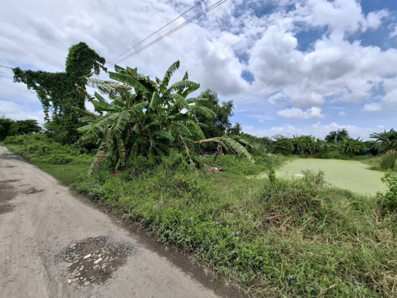 ขาย ที่ดิน ซอยวัดสุขใจ 19 ขนาด 404 ตร.วา แปลงสี่เหลี่ยมสวย มีบ่อน้ำ เหมาะทำบ้านพักอาศัย หรือโกดัง