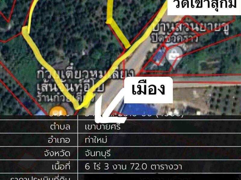 ขายที่ดินพร้อมทำสวน มีบ้าน 1 หลัง เป็นที่ดินหน้ากว้าง ติดถนนใหญ่เส้นหลัก