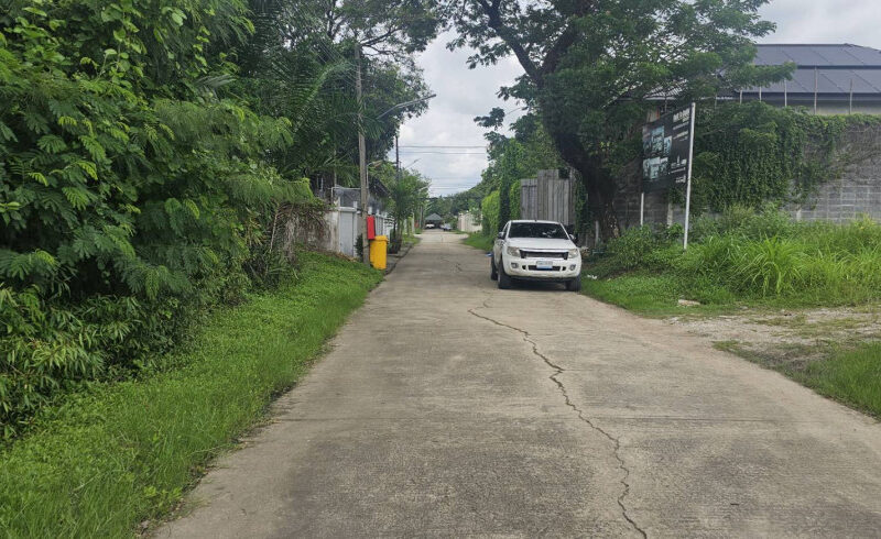 ขายที่ดิน 200 ตร.ว. หมู่บ้านเอื้อสุข พัฒนาการ 58 ซอย 6 ใกล้ถนนศรีนครินทร์