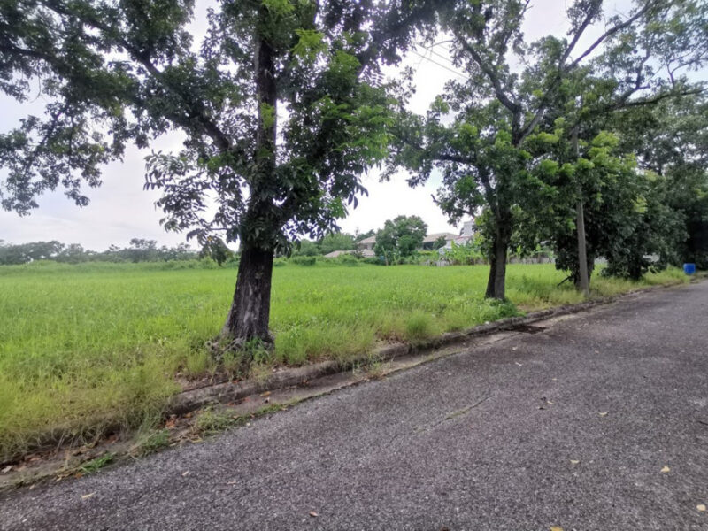 ขาย ที่ดิน ในสนามกอล์ฟ เลควูด Lakewood ซอย 16 ขนาด 1 ไร่ แปลงสวยสี่เหลี่ยม อยู่ในโครงการหรูมีระดับ เป็นส่วนตัว เหมาะสร้างบ้าน