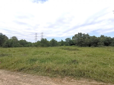 ขาย ที่ดิน ซอยแบนชะโด 3 คลองสามวา มีนบุรี 375 ตร.วา เหมาะทำโกดัง ฟาร์มผัก บ้านพักอาศัย