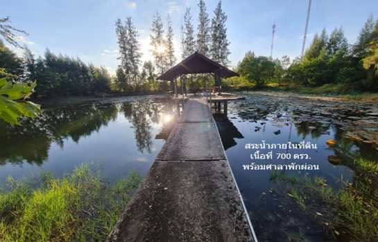 ขาย ที่ดิน ผืนใหญ่แปลงสวย ใกล้พืชสวนโลกโคราช ทำเลทองแห่งอนาคตไกล บ้านวัด ฝั่งตะวันออก 35 ไร่ 1 งาน 26 ตรว ในทำเลศักยภาพสูง ผังเมืองสีชมพู