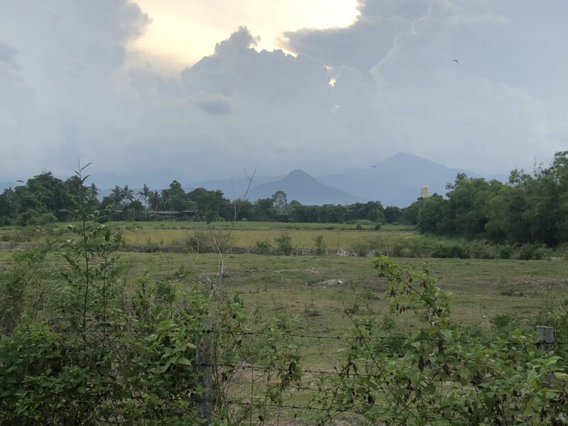 ขายที่ดิน 3 โฉนด