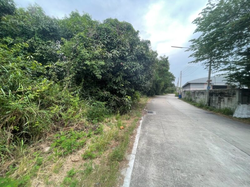 ขาย ที่ดิน EECติดมอเตอร์เวย์ เมืองชลบุรี หนองข้างคอก 13 ไร่ 1 งาน 78 ตร.วา เข้าออกมอเตอร์เวย์ได้หลายทาง เหมาะทำโรงงาน โกดังสินค้า