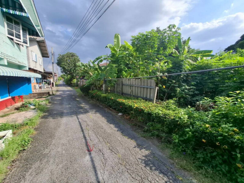 ขายที่ดินมีนบุรี 100ตรว. ซอยราษฎร์อุทิศ25-6 ใกล้ถนนใหญ่แค่100ม. รูปสี่เหลี่ยมสวย ปากซอยตรงข้ามMR.DIY เหมาะสร้างบ้านเดี่ยว บรรยากาศสงบส่วนตัว