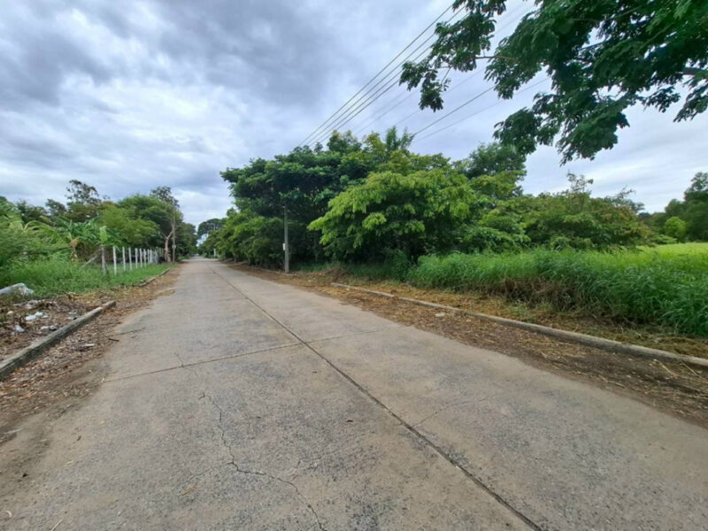 ขาย ที่ดิน เวิลด์คลับ แลนด์ คลองหลวง 1 ไร่ 1 งาน 75 ตร.วา เหมาะทำโกดัง โรงงาน ออฟฟิศ