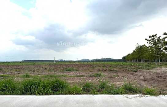 ขาย ที่ดิน ME376 ทำเลดี ราคาถูกสุดในย่านนี้ หนองอิรุณ บ้านบึง ชลบุรี . 50 ไร่ ใกล้เขตอุตสาหกรรมอาหารสยาม นิคมอมตะชลบุรี2 ถนน 331 เพียง 3 Km.