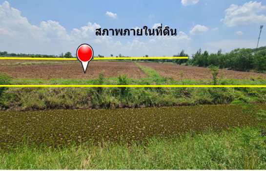 ขาย ที่ดิน ผืนใหญ่แปลงสวย ใกล้พืชสวนโลกโคราช ทำเลทองแห่งอนาคตไกล บ้านวัด ฝั่งตะวันออก 35 ไร่ 1 งาน 26 ตรว ในทำเลศักยภาพสูง ผังเมืองสีชมพู