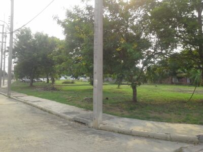 📣 ขายที่ดินเปล่า 193 ตร.วา ที่ดินสวยมุมถนนในหมู่บ้าน