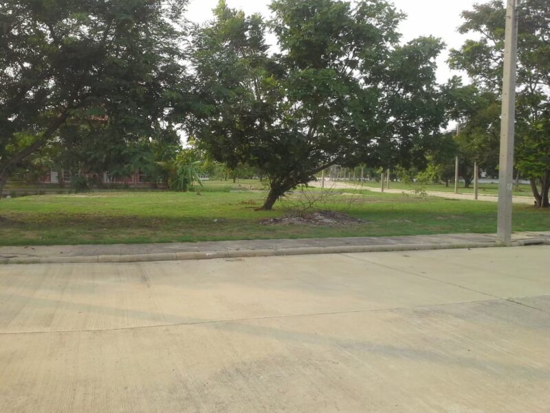 📣 ขายที่ดินเปล่า 193 ตร.วา ที่ดินสวยมุมถนนในหมู่บ้าน