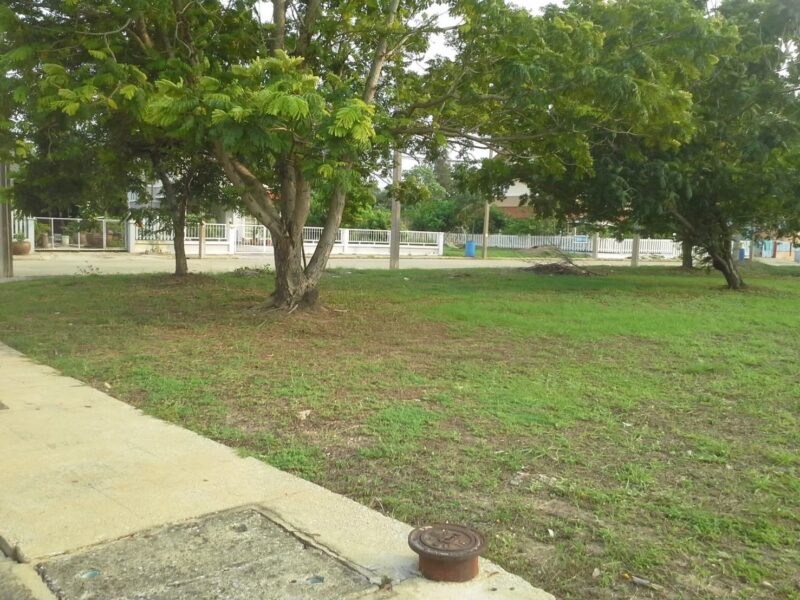 📣 ขายที่ดินเปล่า 193 ตร.วา ที่ดินสวยมุมถนนในหมู่บ้าน