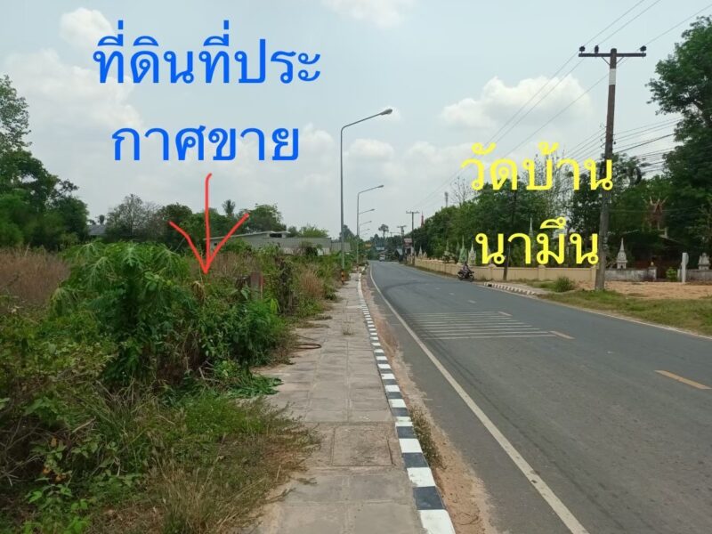 ที่ดินเปล่าติดถนน ทำเลดี