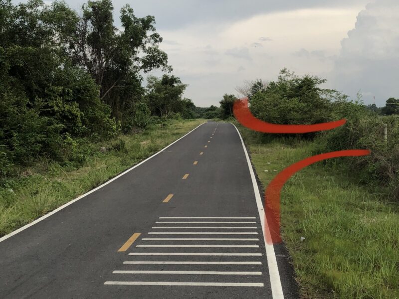 ขายที่ดิน 3 โฉนด
