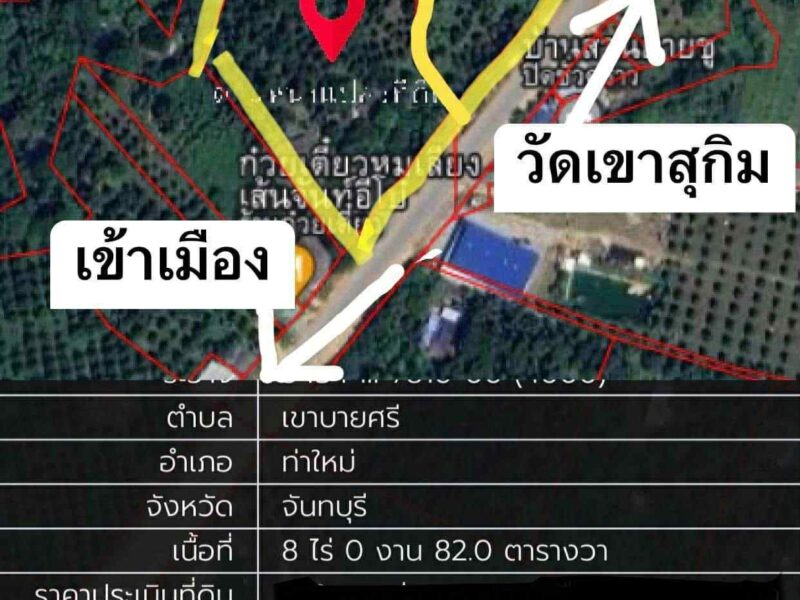 ขายที่ดินพร้อมทำสวน มีบ้าน 1 หลัง เป็นที่ดินหน้ากว้าง ติดถนนใหญ่เส้นหลัก