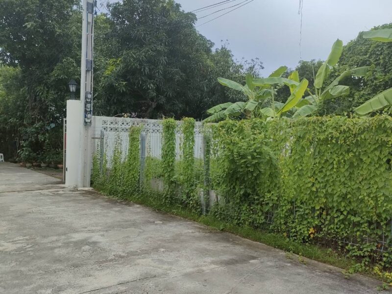 ขายที่ดินเปล่าถมแล้วในถนนลาดพร้าวซอย 48 กรุงเทพมหานคร