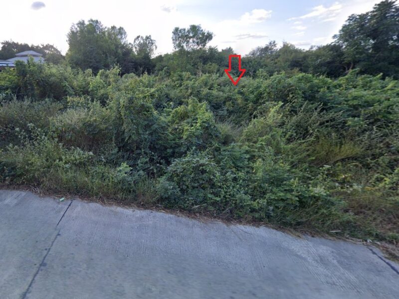 ที่ดิน 6-1-31.7 ไร่ ใกล้เมืองโคราช ทำเลทองน่าลงทุน!