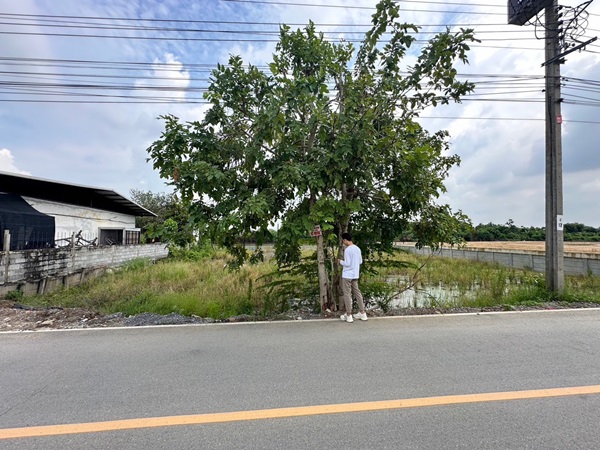 ขายที่ดิน 263 ตรว. พร้อมถมดินให้ ซอยวัดพูนพิมลราช ต.พิมลราช อ.บางบัวทอง จ.นนทบุรี โทร 088-899-8965
